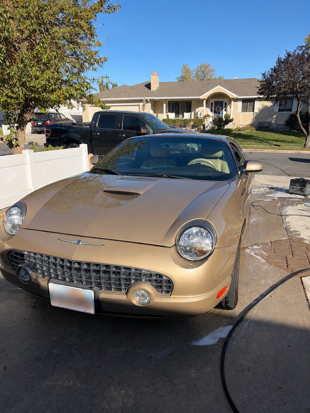 Finished Thunderbird exterior after Jordan Valley Detail mobile detailing
